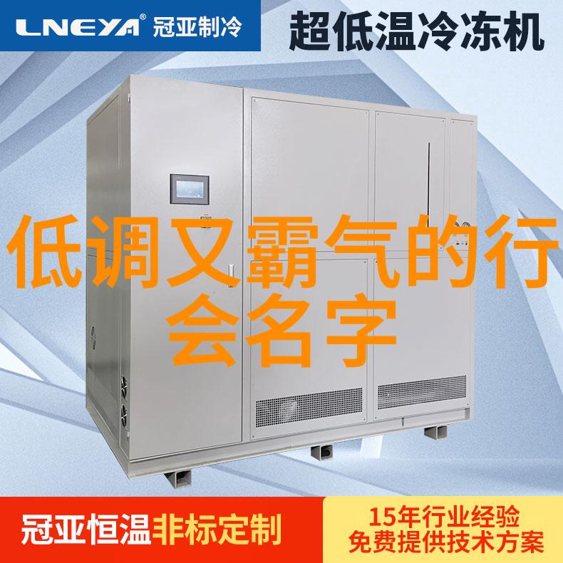 中国武学巅峰云游四海的天下第一门派