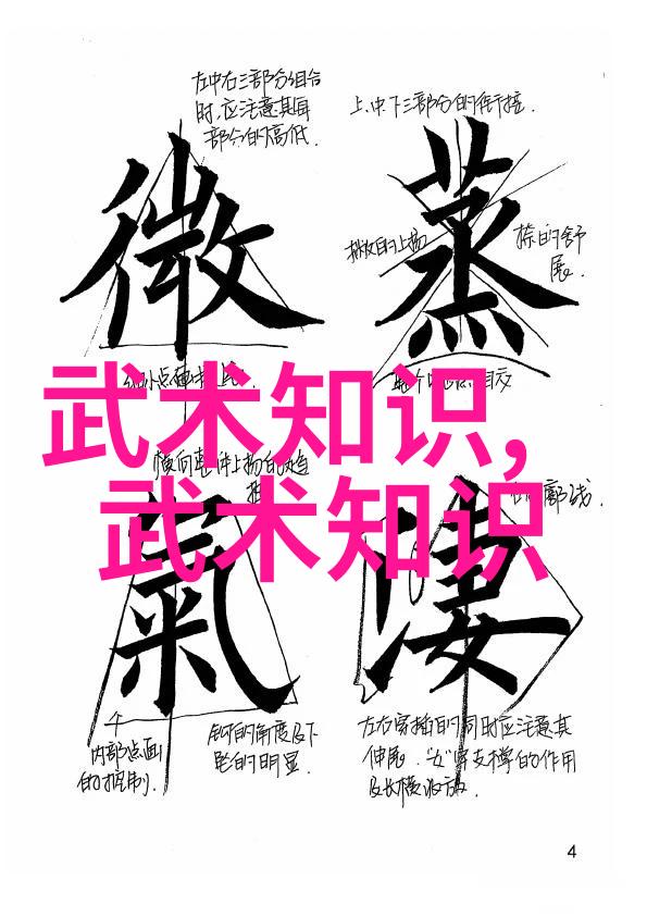 李小龙的功夫教学视频跟着大侠学我是如何通过李小龙教程掌握武术的