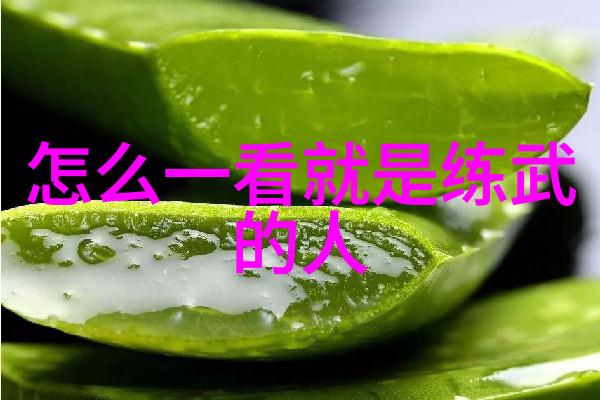 如何在练习太极拳24式时保持良好的姿势和平衡感