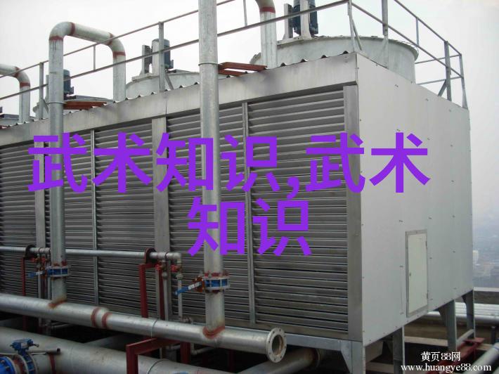 武当松溪神意派乃上古八大仙境中最为神秘而卓越的内家拳之术