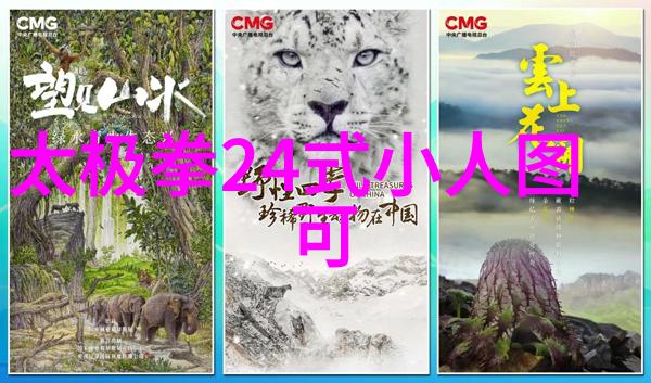 中国武术门派大汇总揭秘传统武学的丰富多彩