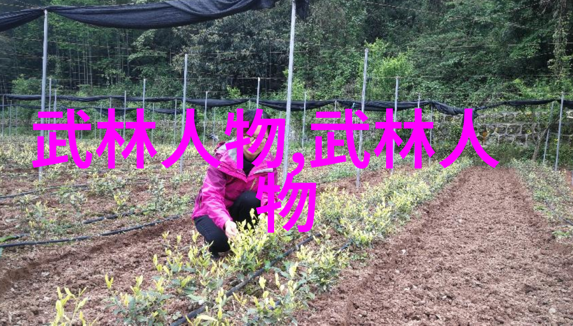 如何阻止那些疯狂在广场上跳舞的人以免他们破坏我们规划好的职业生涯蓝图