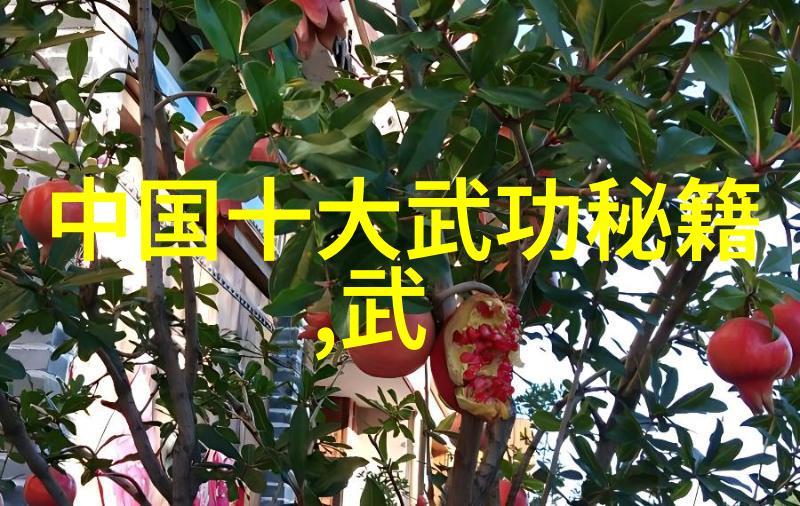 东京奥运会乒乓球张禹珍与平野美宇的冠军征程