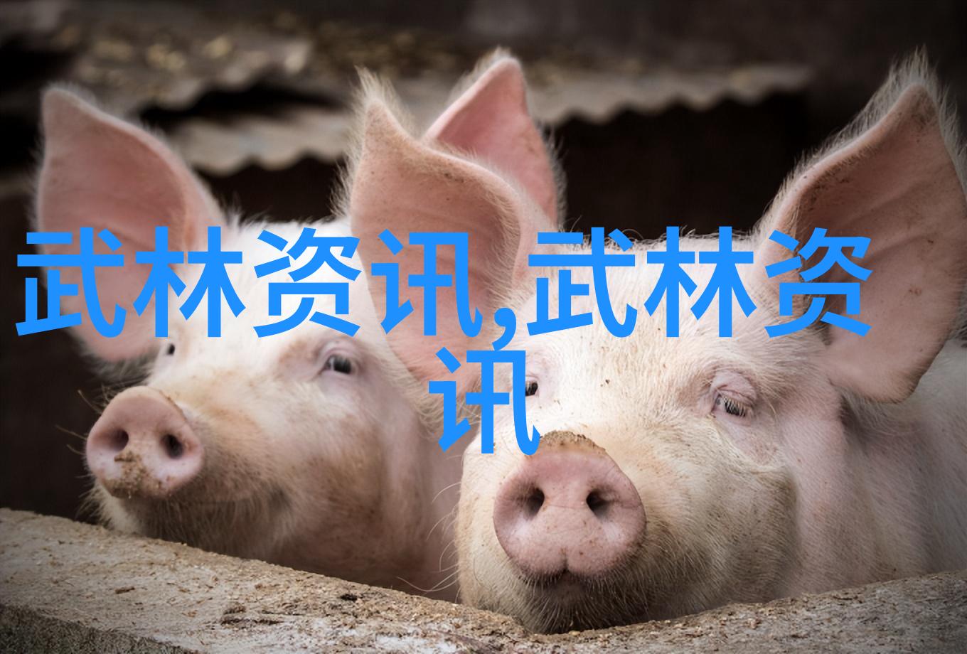 五字押韵唯美古风帮派名我心中那段被岁月抚慰的秘密篇章