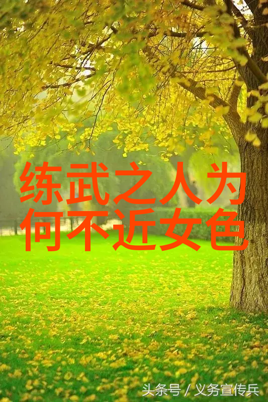 武林绝学揭秘炼丹术剑法秘籍与内功心法