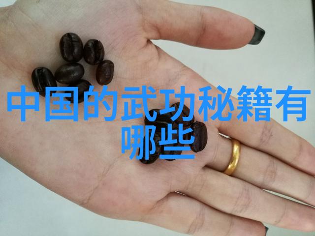 妈妈的职业完整视频带翻译4的探索与应用总结