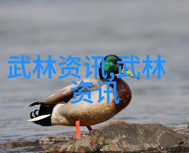学武术的最佳年龄亲测那些年轻人为什么更容易成为武林高手