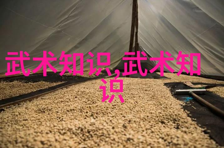 武林中的少数民族门派有哪些独特之处