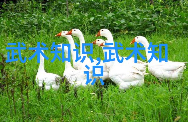 门派拳种中国太极螳螂拳揭秘十大最强武功秘籍