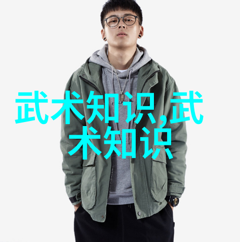 修行者的指南录探索中国古典文学中隐含的拳艺智慧