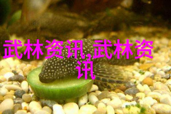 戏剧-千金之舞追逐梦想的华尔兹