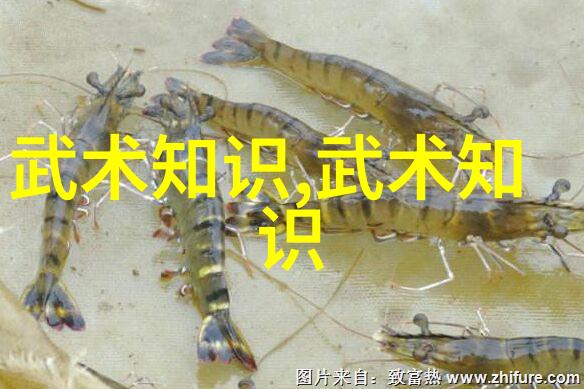 中国武术的精髓十大剑法之旅