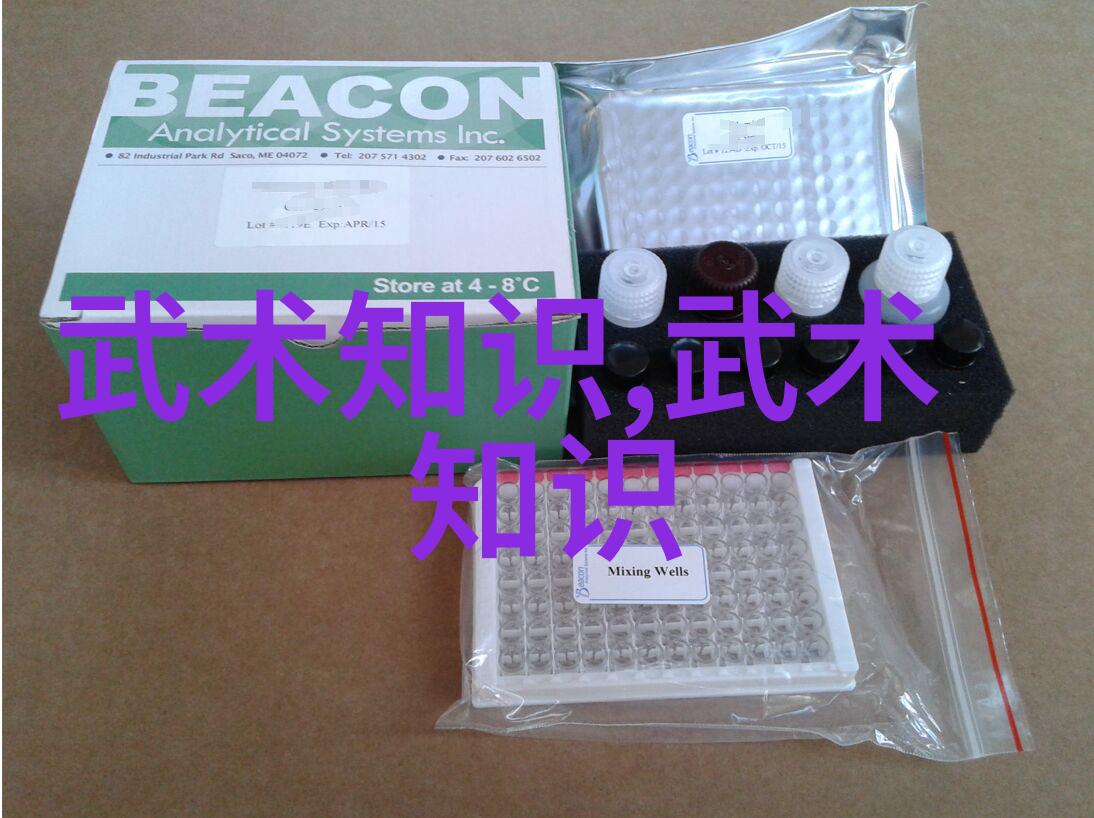 星辰纷呈神秘的幻境宗门世系