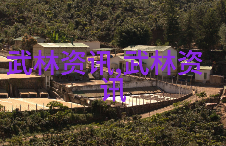 湖南武术门派我亲历的华山论剑湖南武林的那些事