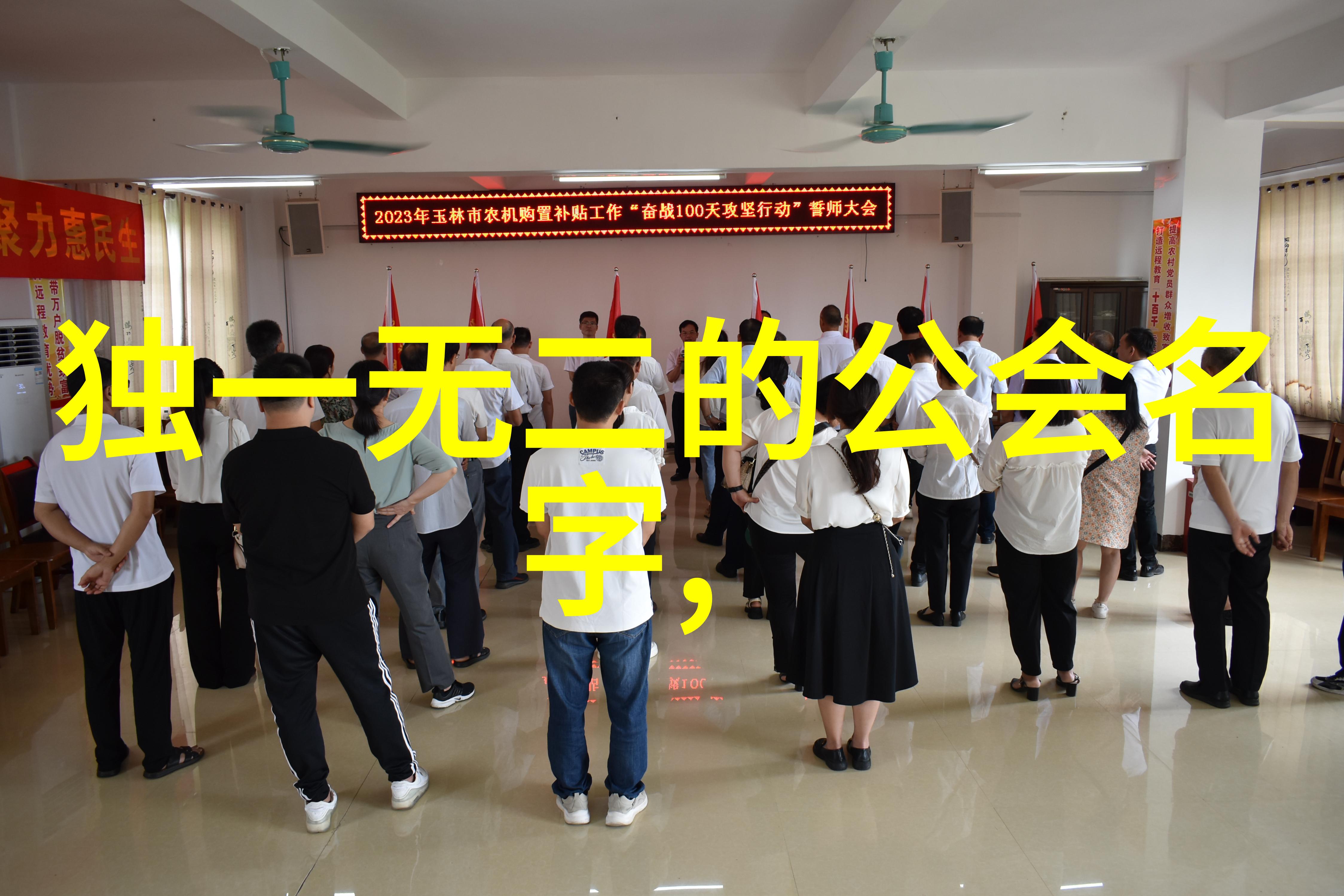 太极拳功夫大全反复探究叶式史上之桩法与招式拳法