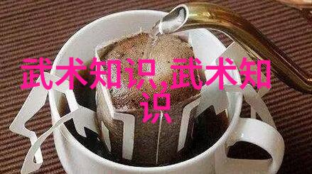 太极拳24式揭秘古老武术的慢动作之谜