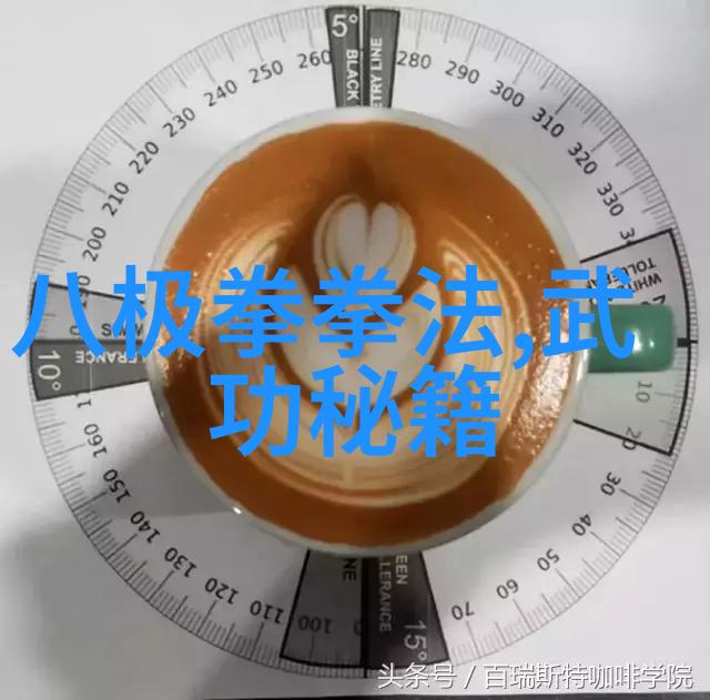 古代武林绝学大公开详解武功秘籍大全中罕见拳法
