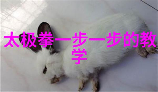 探索贺行洲一段未知文明的奇迹