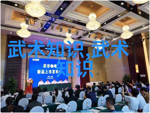于子顺讲述太极拳推手中的出手如锉回手如钩仿佛少林武功秘籍大全中藏匿的智慧静待破解