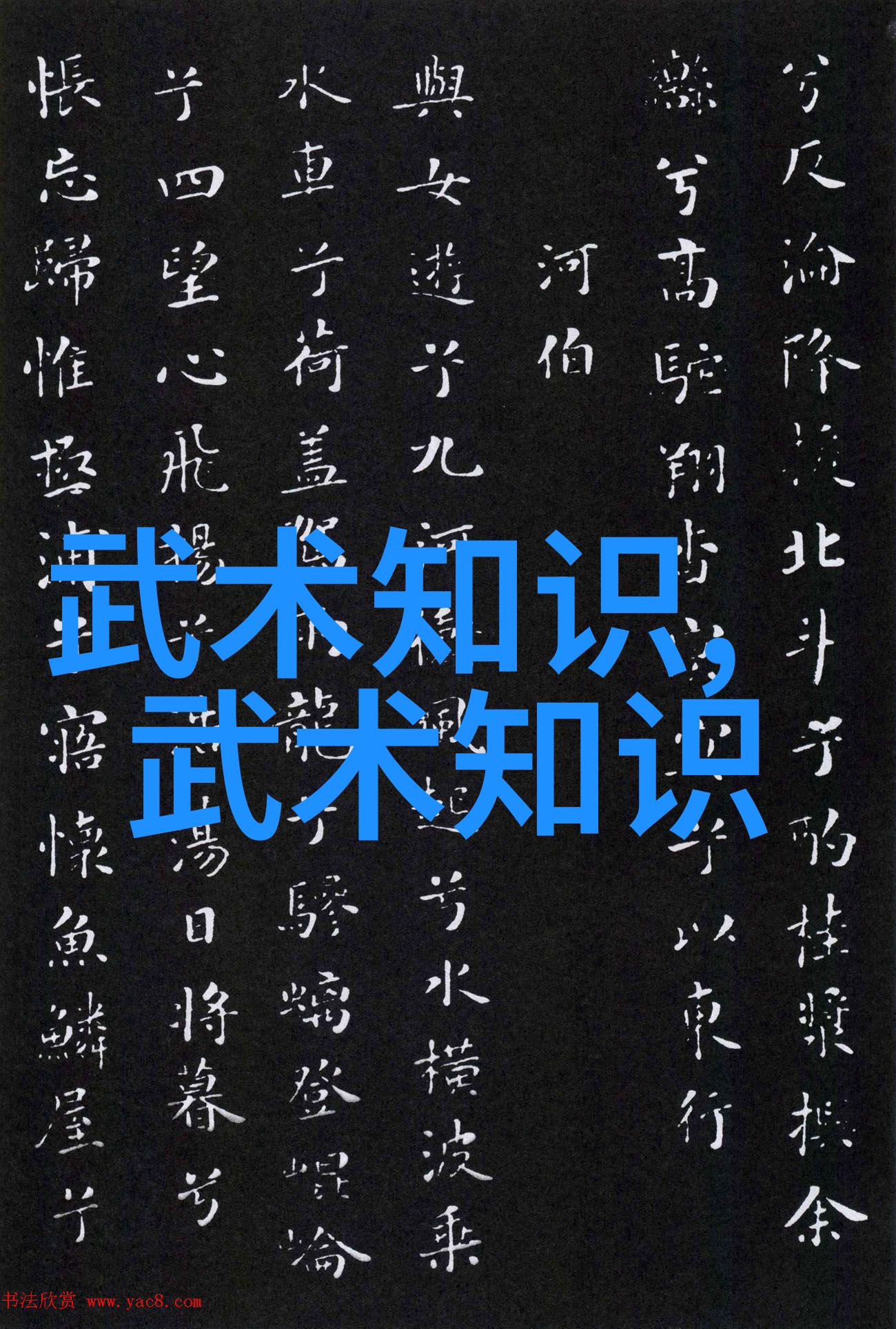 游泳教学视频新手入门自由泳技术动作问题解答