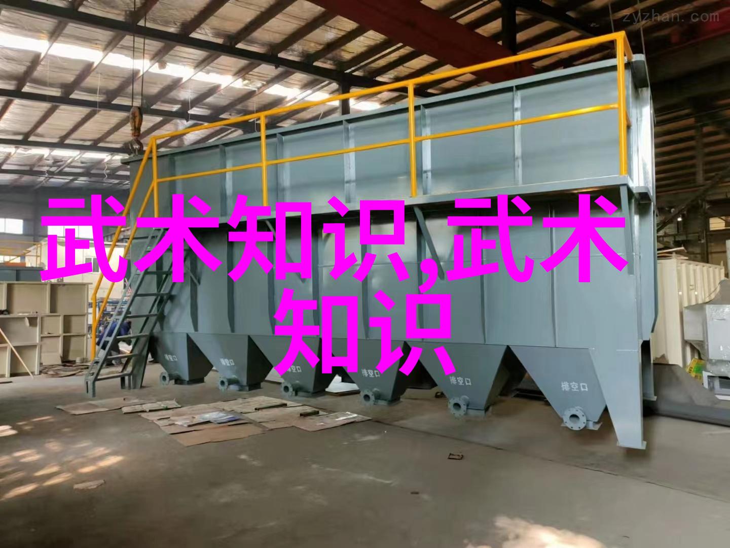 刘虹再赴田径世锦赛她的坚持让我们感动不已