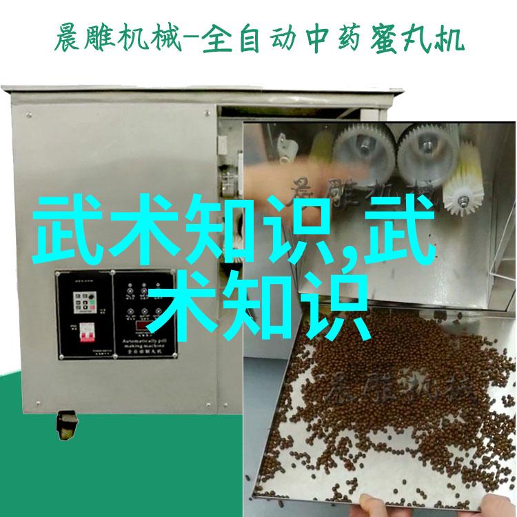 男人眼中女人武功好背后的社会现实与价值观探究