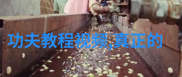 禁用武术的网站-消除暴力探索禁用武术网站背后的文化与法律考量