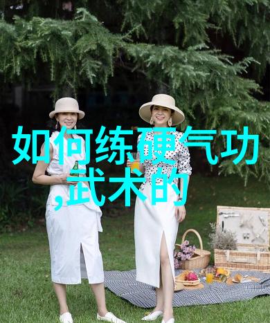 全国129个门派名单大全中的叶式太极拳仿佛一位历史悠久的老人以其优雅和深邃的姿态在众多武学之路中静默