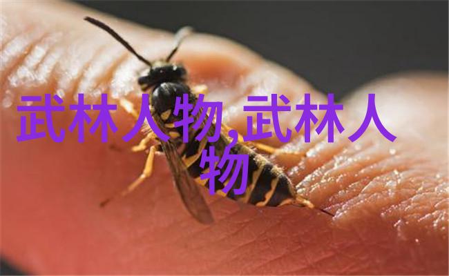 时空交错的剑术剖析穿梭时空的迅雷一闪