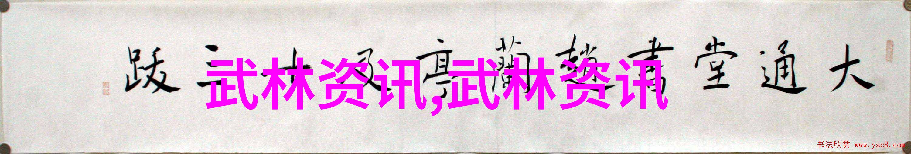 藏拙小说我的秘密文学世界