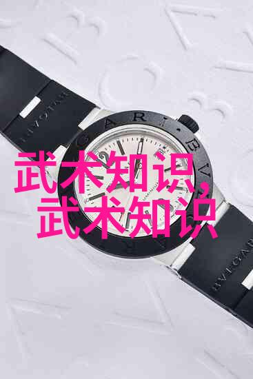 武侠世界中的拳法技巧从小说到现实训练
