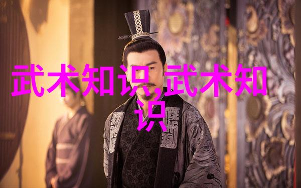 武功与武术的精妙差别深入探究中国古典武林中的技术与艺术