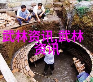 中国武术秘籍揭秘拳法十杰的传承与实力