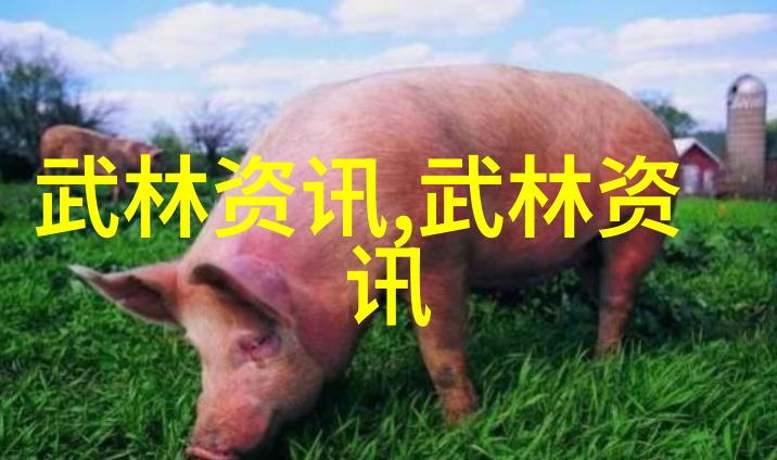 太极拳24式自学图解揭秘内外八卦与练习步骤