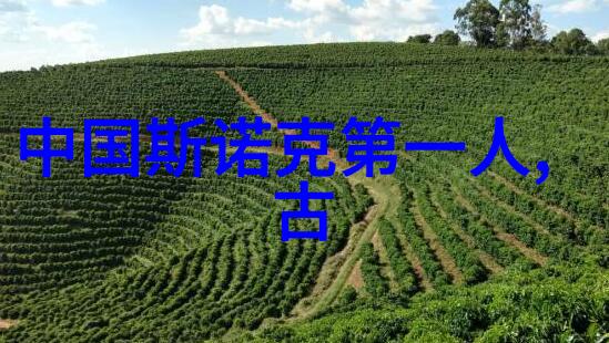 如何破解千年前的武学密码