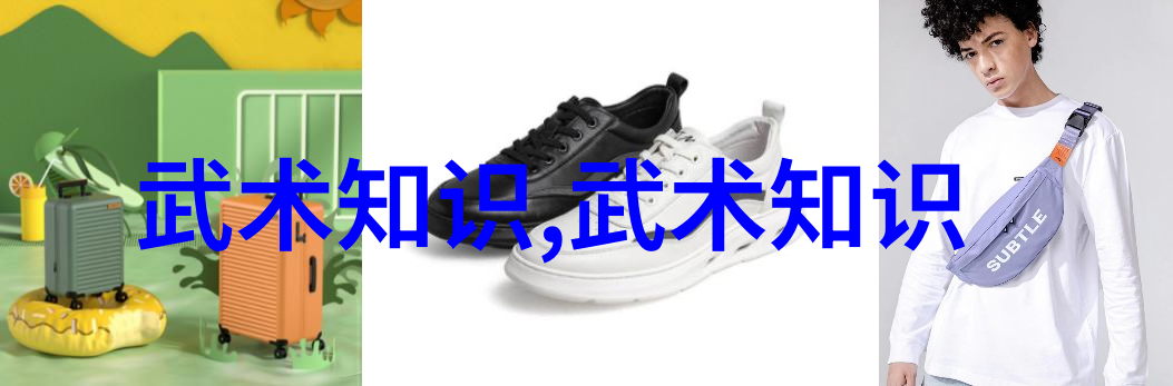 四十式太极拳视频带口令传统中国武术练习