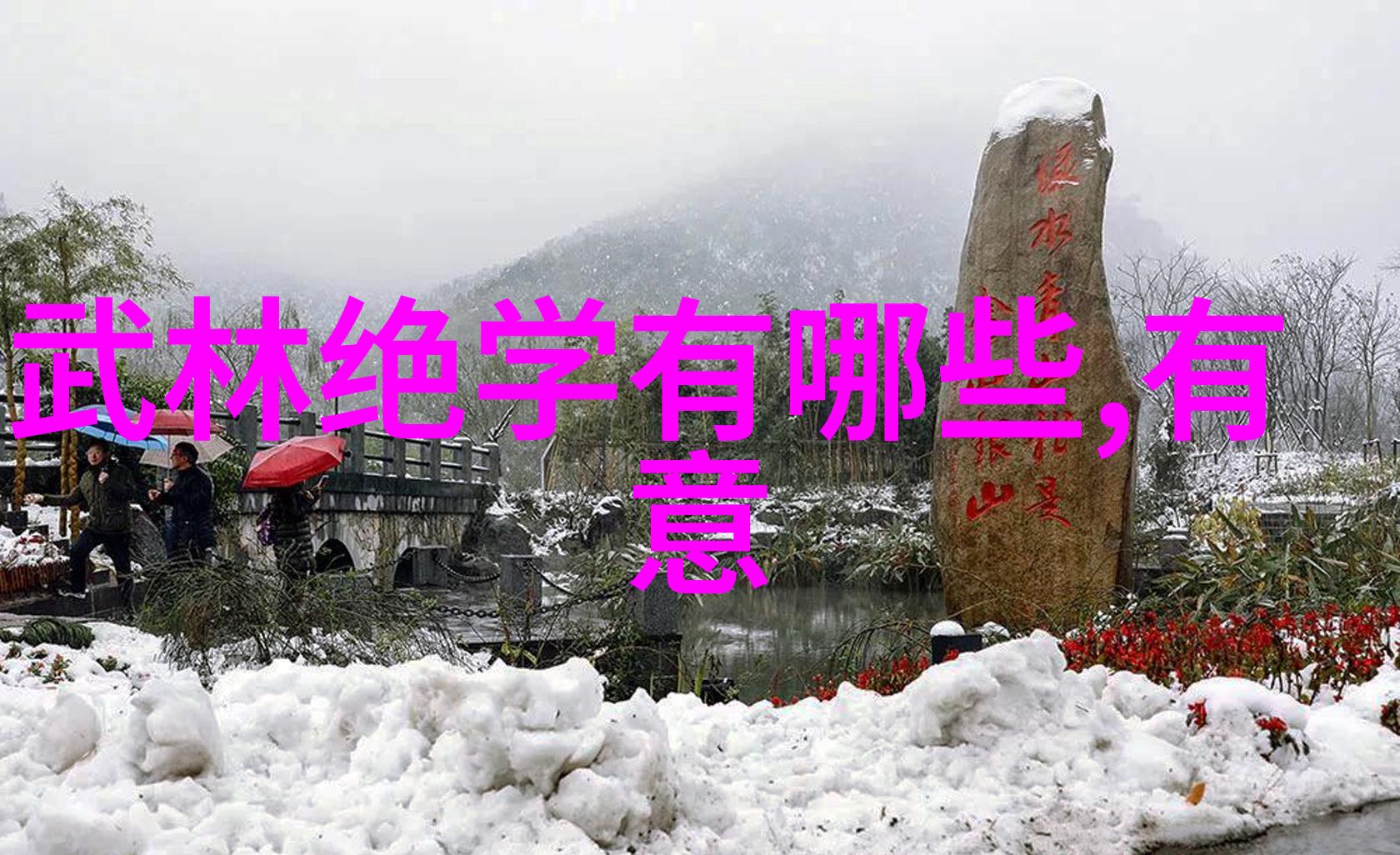 霸气十足的尚派形意拳雄姿英发