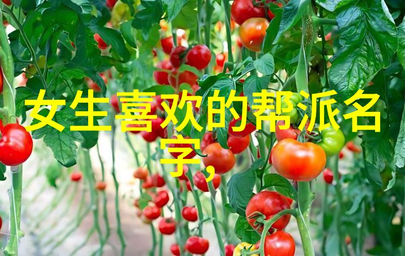 北京鸣生亮武学研究会报告十三式太极拳分解动作 - 志伟曹春华李学信