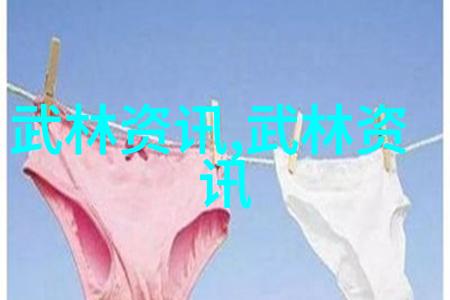 跨越屏幕的忠诚美国ZOOM人狗视频中的情感连接