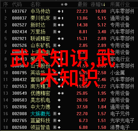 王文贤讲解32式太极拳套路的核心要素全套分解反复探究其精髓