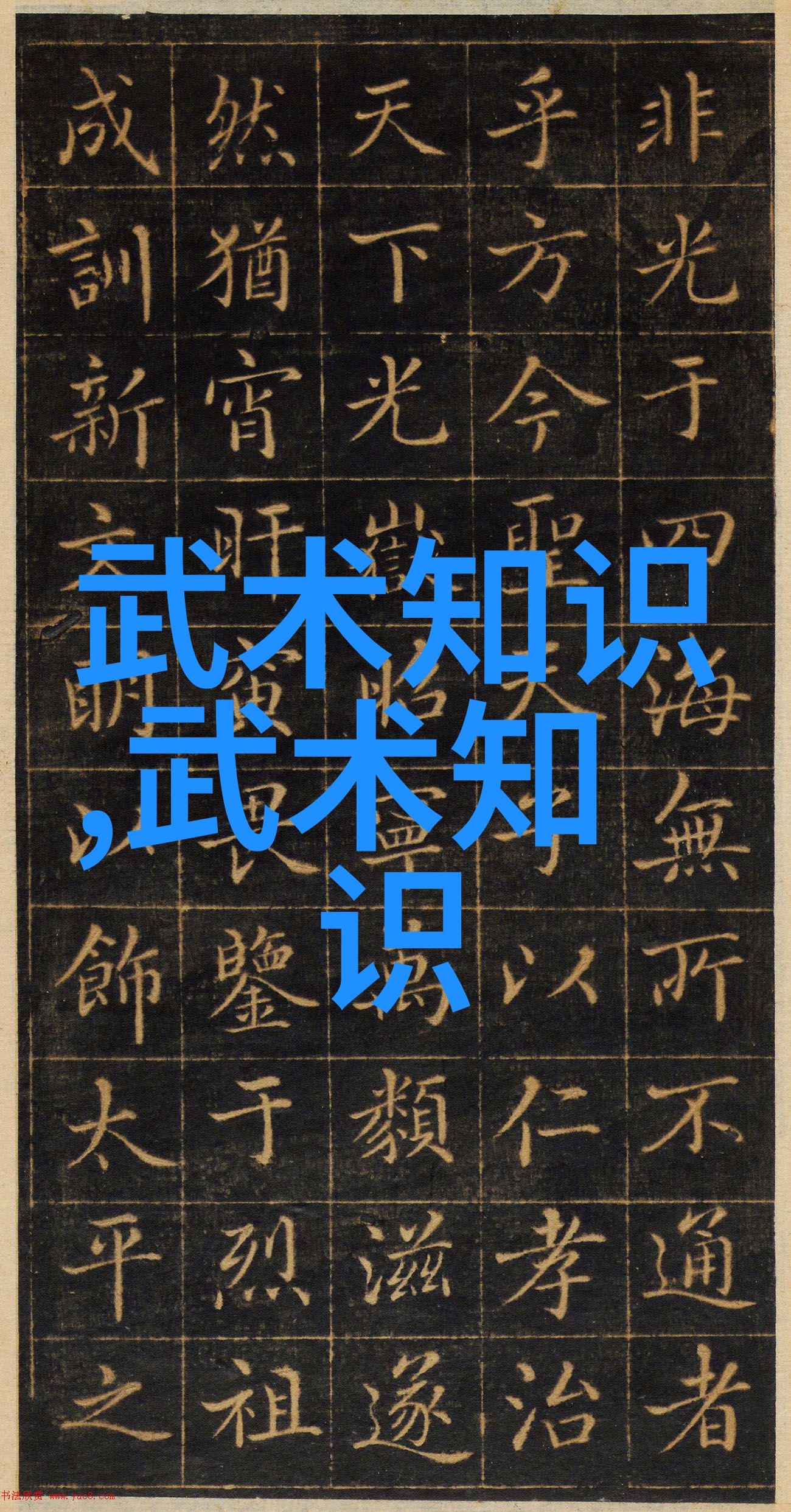 穿越千年揭秘历史上最具威力的武术体系