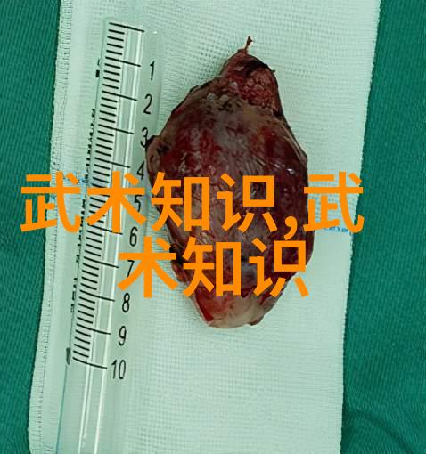 武林秘籍大全揭秘千年武学真传
