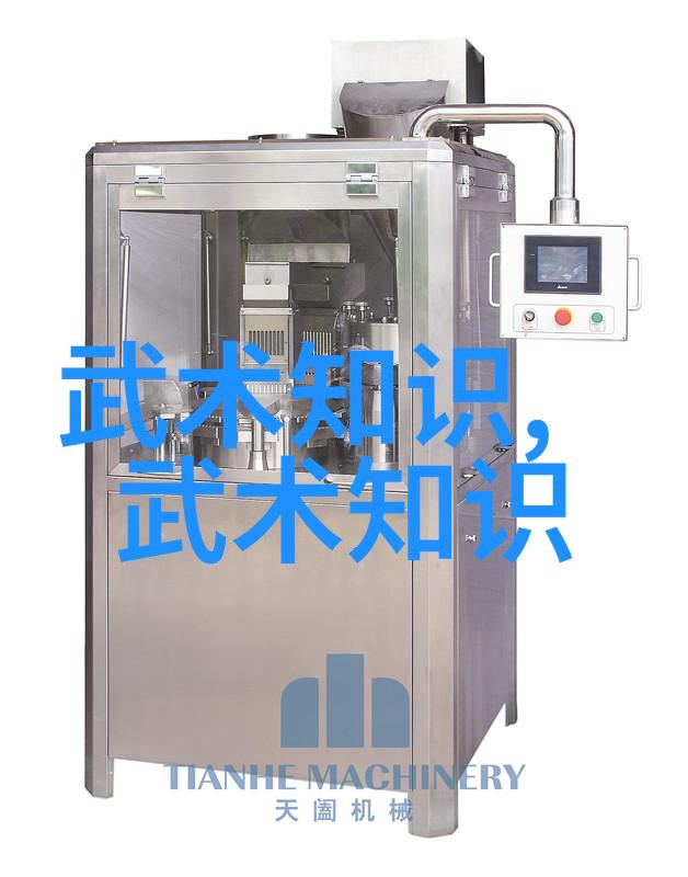悟道奇剑揭秘基础武功秘籍