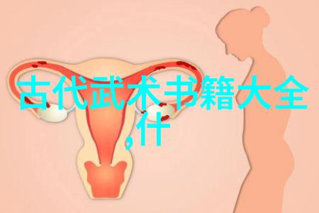 武术文化的宝库揭秘中国30门派之谜