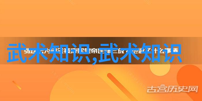 轻功秘籍一招致胜的练习法则