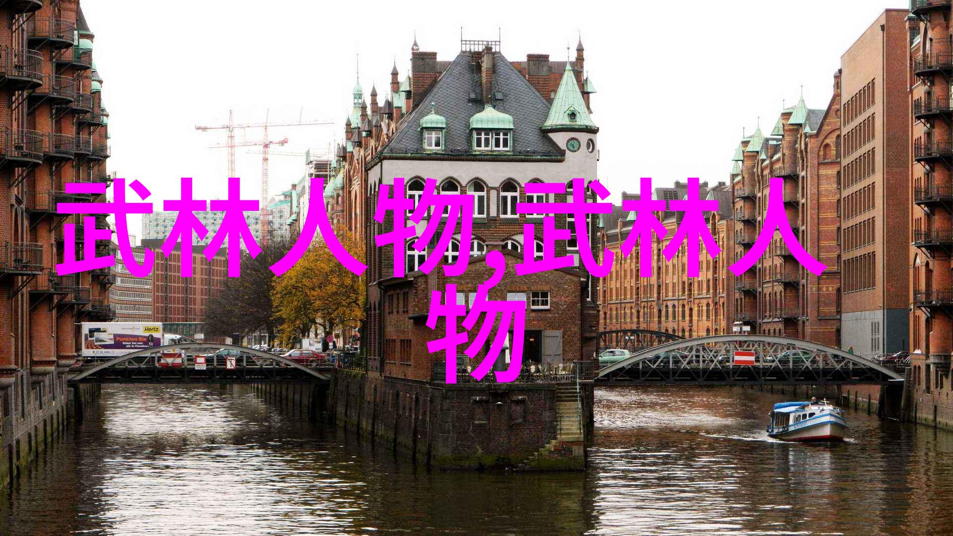 入门拳法揭秘我怎么一开始就学会了打架