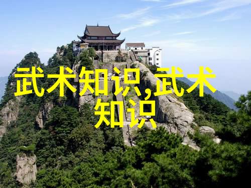 武术活动名称大全-绝技汇编全球武术大赛的精彩瞬间