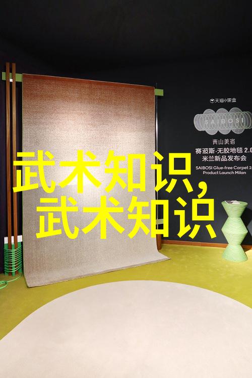 李雅轩太极拳论汇编一如既往的怪力二圣之境界三尸身之内外兼修四奇迹在每一步中展现五绝技成就了这门武学