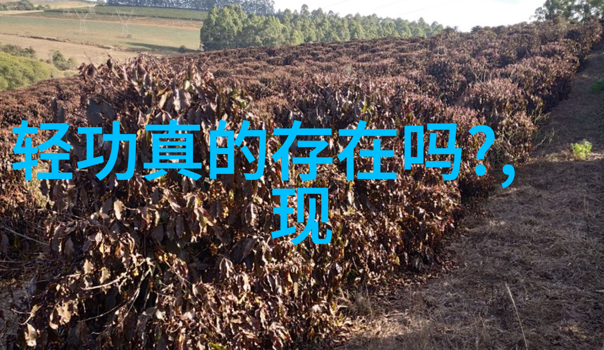 中国功夫中的拳法数据解析揭秘太极的沉劲之谜