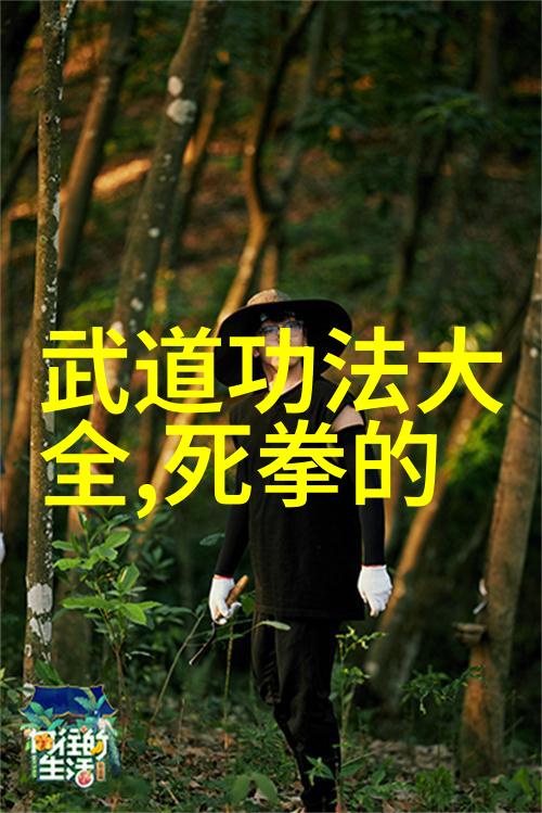 轻功之谜心灵的飞跃与身体的舞蹈